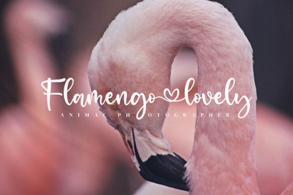 Angel Lovely Font - Preview 3