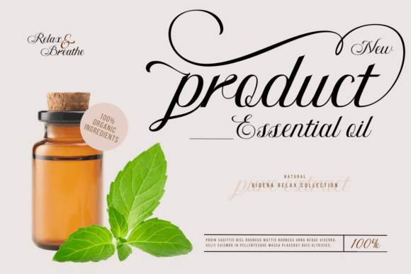 Bidena Font - Preview 1