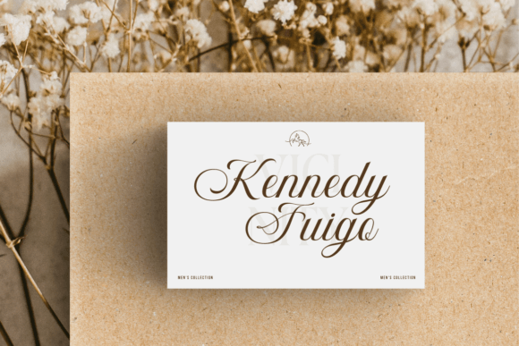 Bidena Font - Preview 6