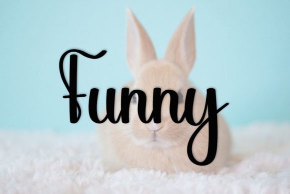 Bunny Font - Preview 1