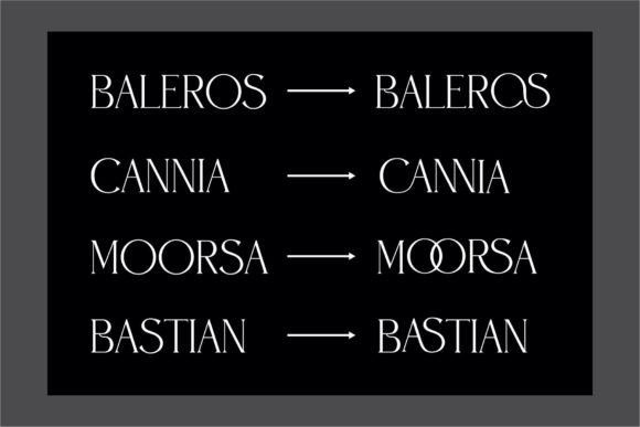 Chesa Font - Preview 3