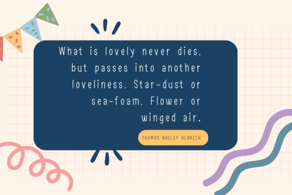 Quindlen Font PNG with transparent background - Preview 3