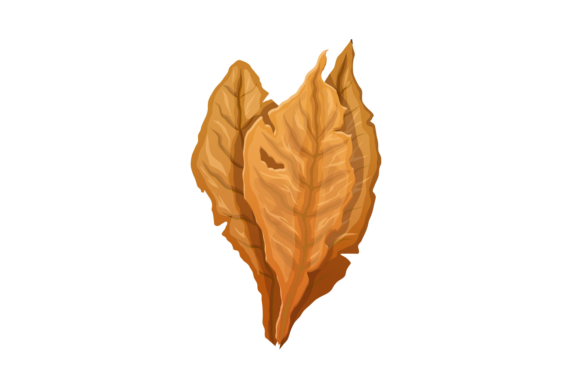 Tobacco Leaf Cartoon Vector Illustration Graphic by pikepicture · Creative  Fabrica