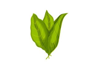 tobacco town paris ar THE BEST 10 Tobacco Shops near PARIS, AR 72855 - Updated 2026 - Hours