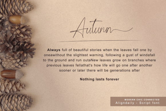 Align Daily Font - Preview 2