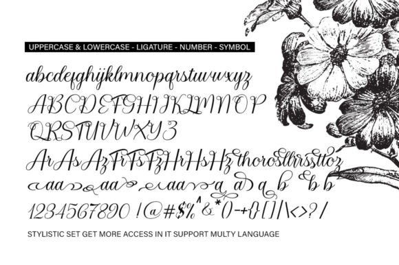 Bailies Script Font - Preview 6