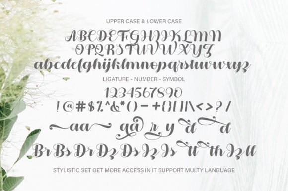 Bellies Font - Preview 6