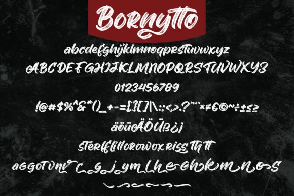 Bornytto Font - Preview 4