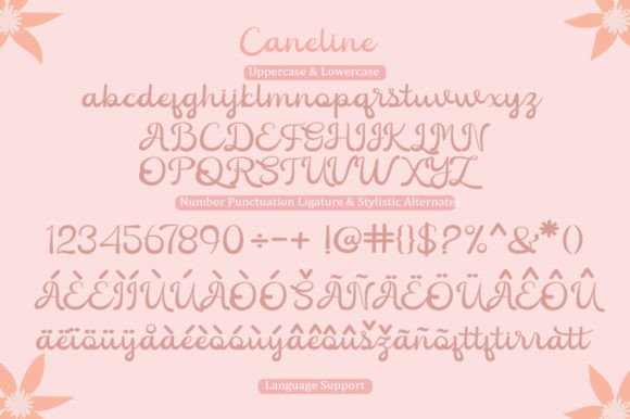 Caneline Font - Preview 6