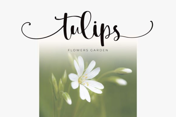 Family Hug Font PNG with transparent background - Preview 3