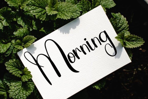 Farmhouse Font - Preview 3