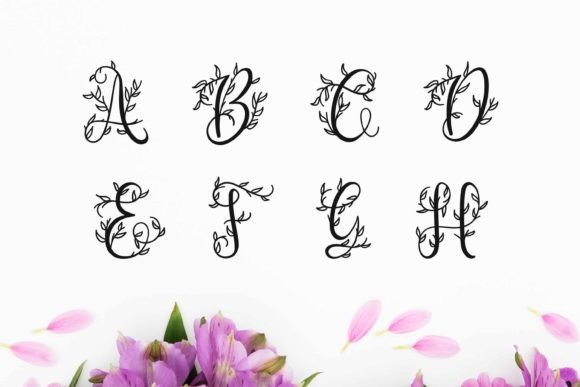 Flourish Monogram Font - Preview 4