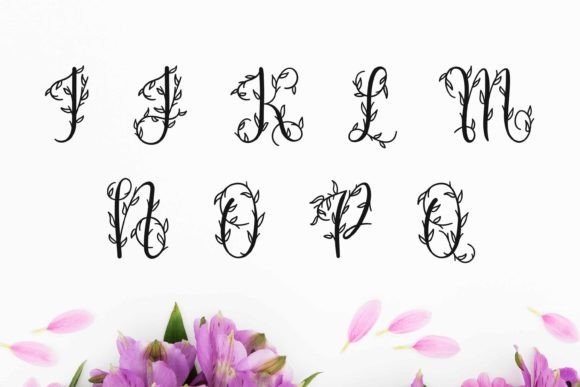 Flourish Monogram Font - Preview 5