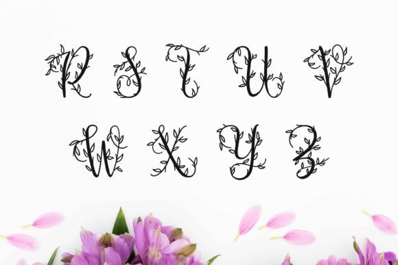 Flourish Monogram Font - Preview 6