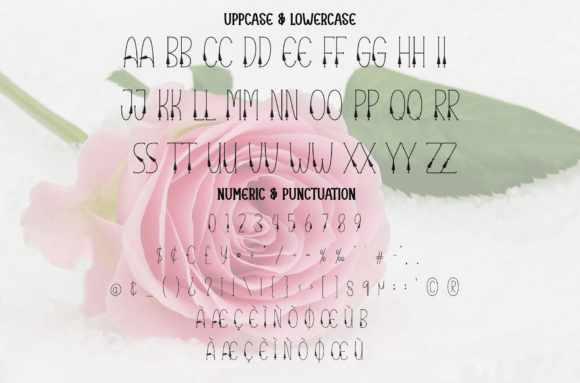 Beautiful Font - Preview 6