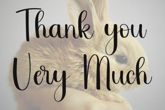 Bunny Font - Preview 4