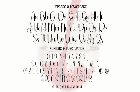 Burgundy Font - Preview 6