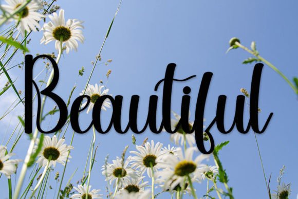 Secured Font PNG with transparent background - Preview 2