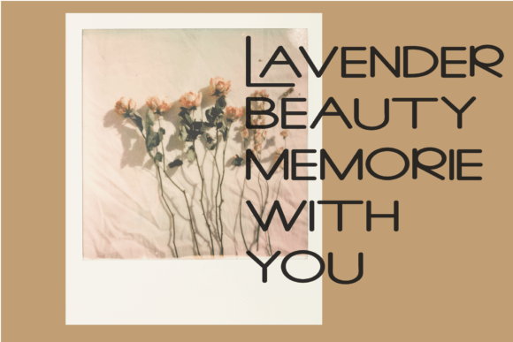 Elegant Font - Preview 3