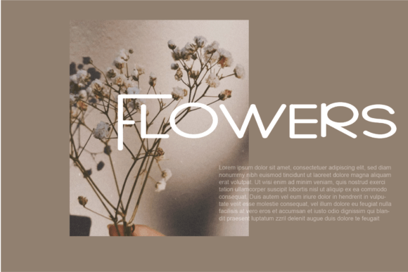 Elegant Font - Preview 4