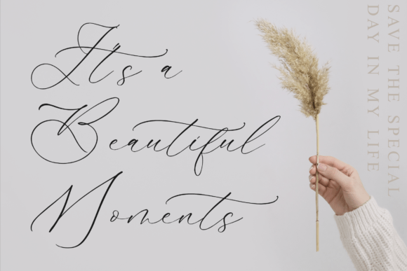 Gladioss Feather Font - Preview 4
