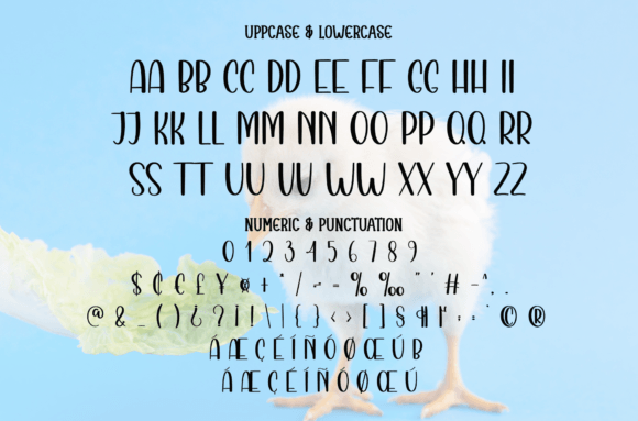 Chicks Font - Preview 6