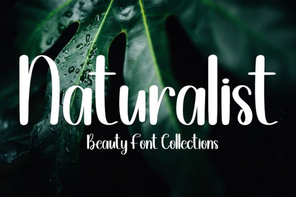 Simple Purple Font PNG with transparent background - Preview 4