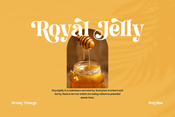 Brasty Vintage Font PNG with transparent background - Preview 3