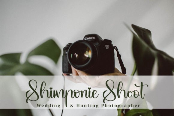Qianetta Font PNG with transparent background - Preview 1