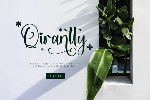 Qianetta Font PNG with transparent background - Preview 3