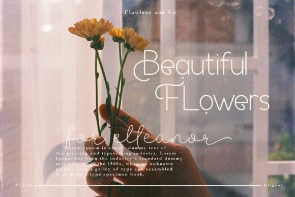 Akega Duo Font - Preview 2