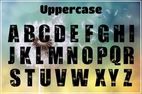 Dandelion Font - Preview 1