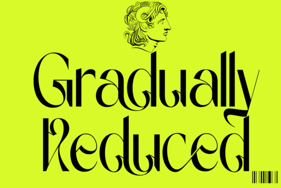 Gradually Reduced Serif Font By 177Studio