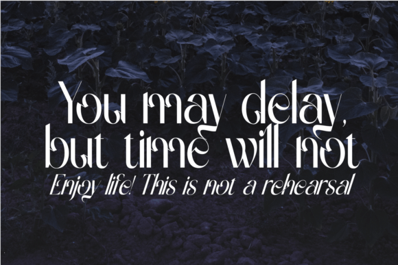 Gradually Reduced Font - Preview 2
