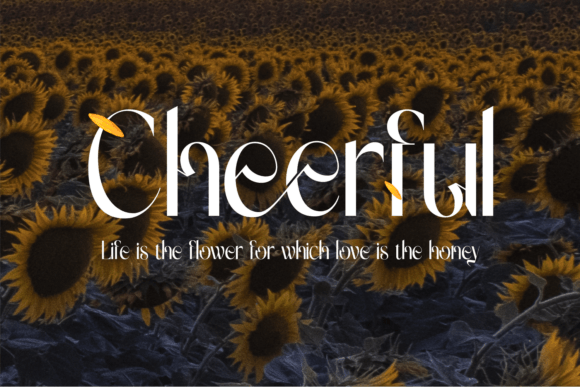 Gradually Reduced Font - Preview 4