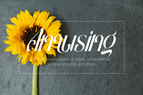 Gradually Reduced Font - Preview 5