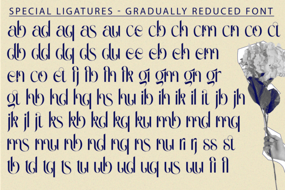 Gradually Reduced Font - Preview 6
