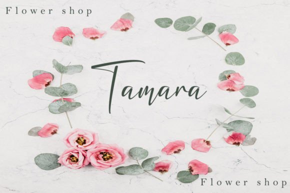 Anastasya Font - Preview 5