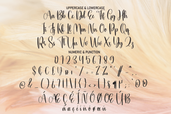 Delft Font PNG with transparent background - Preview 4