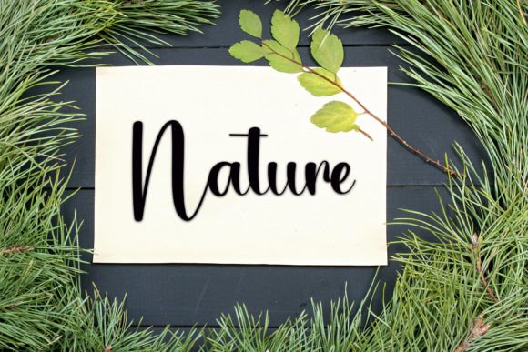 Gratitude Font PNG with transparent background - Preview 1