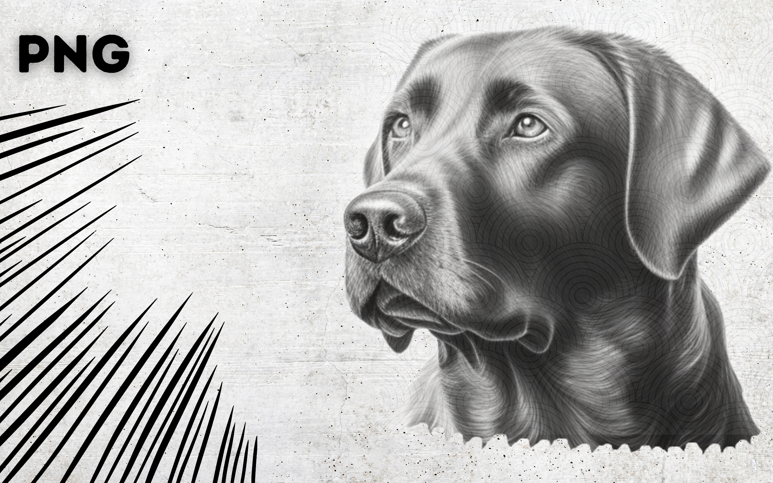 Silver Labrador Retriever V1 Graphic by NESMLY · Creative Fabrica