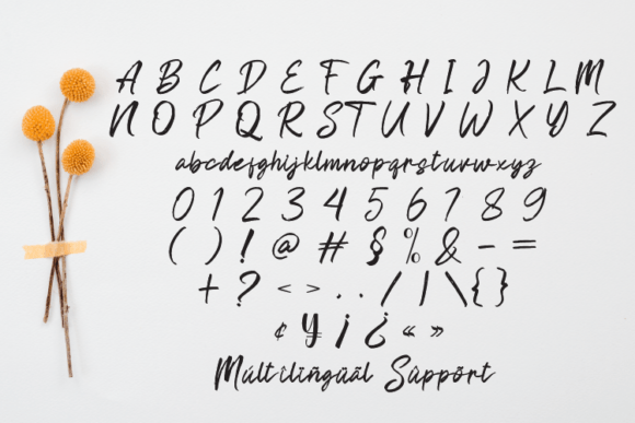 Brush Shine Font - Preview 4