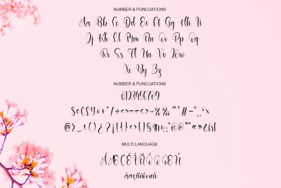 Hearly Signature Font - Preview 5