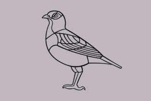 Common Myna SVG Graphic by Andrew's Creative World · Creative Fabrica
