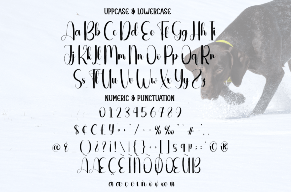 Pointer Font PNG with transparent background - Preview 6