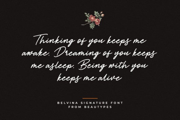 Belvina Font - Preview 2