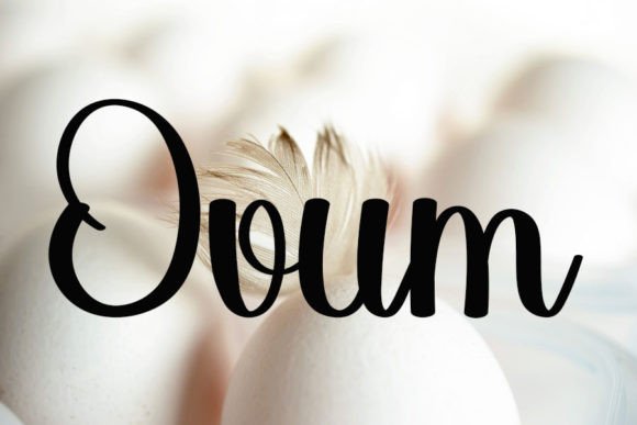 Chicken Font - Preview 3