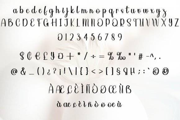 Chicken Font - Preview 5
