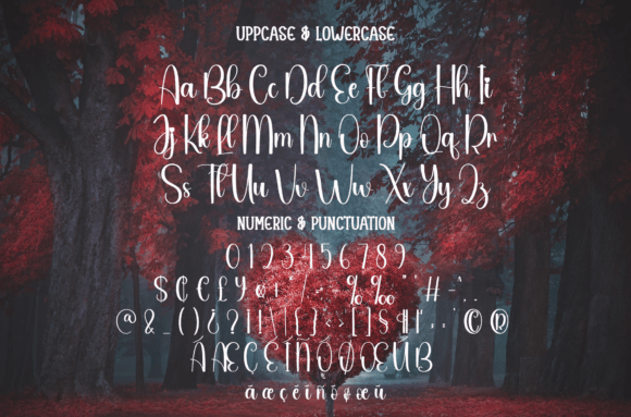 Crimson Font - Preview 6