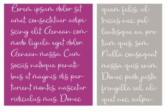Bellicious Font - Preview 3